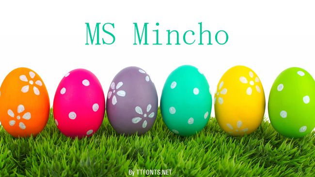 MS Mincho example